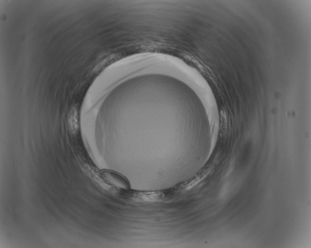 X0000084010479200703161718