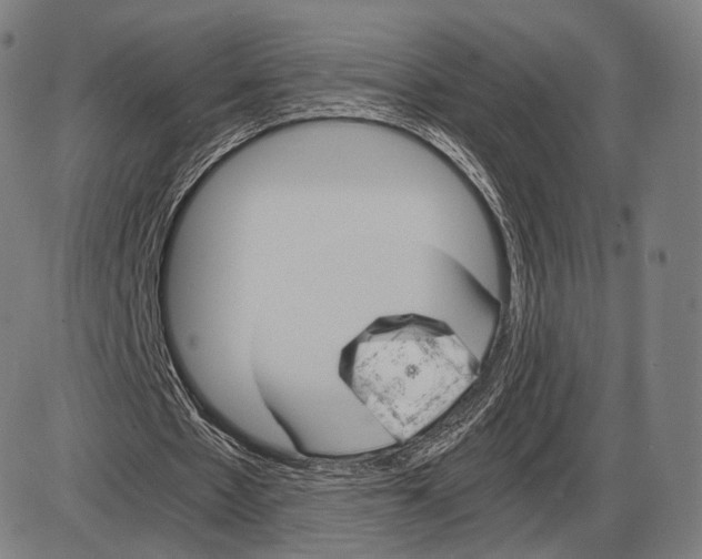 X0000084010481200703161718