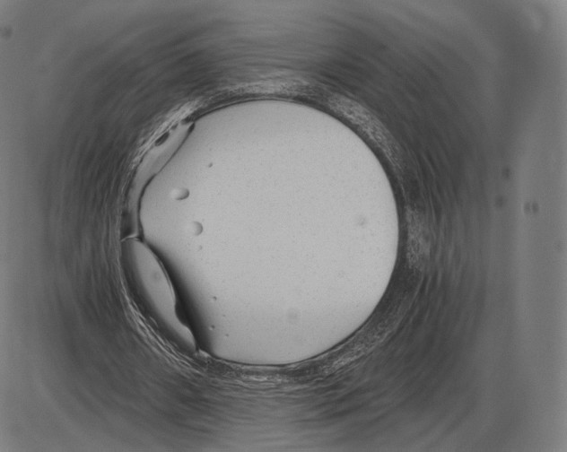 X0000084010482200703161718