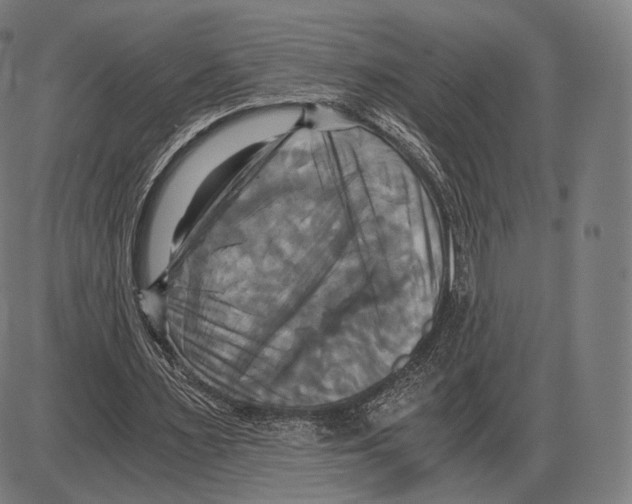 X0000084010483200703161718