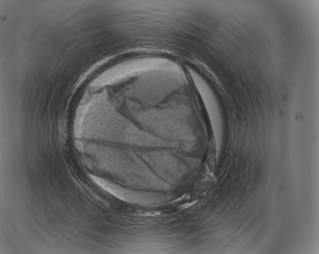 X0000084010484200703161718