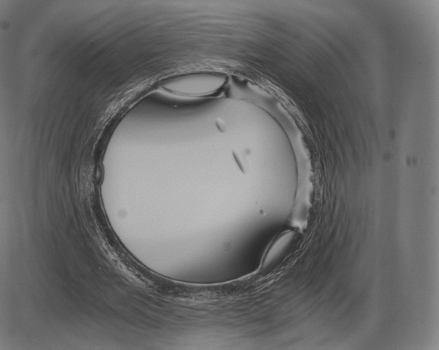 X0000084010485200703161717