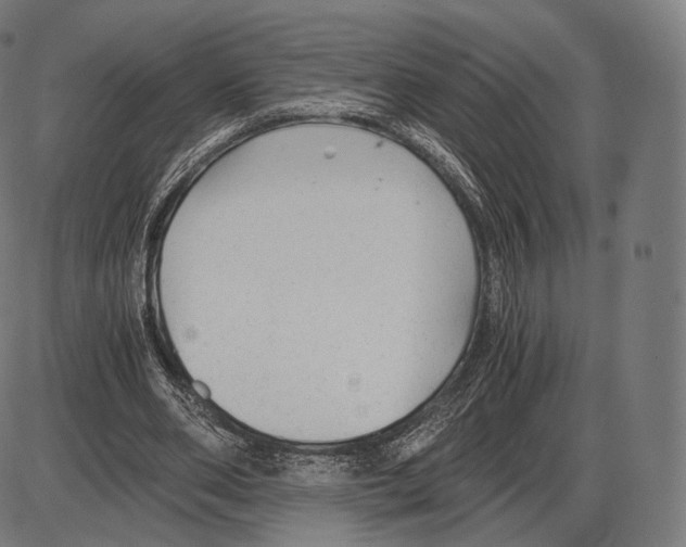 X0000084010486200703161717