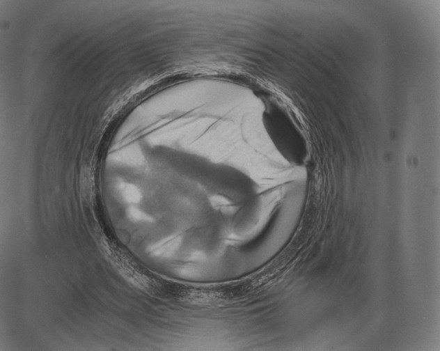 X0000084010487200703161717