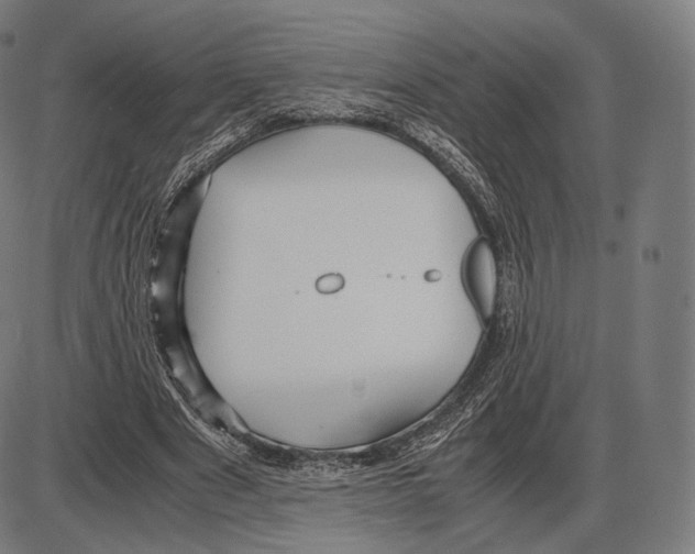 X0000084010489200703161717