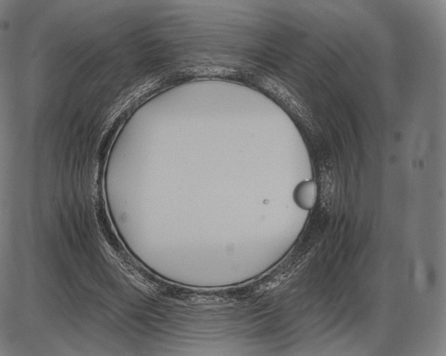 X0000084010490200703161717