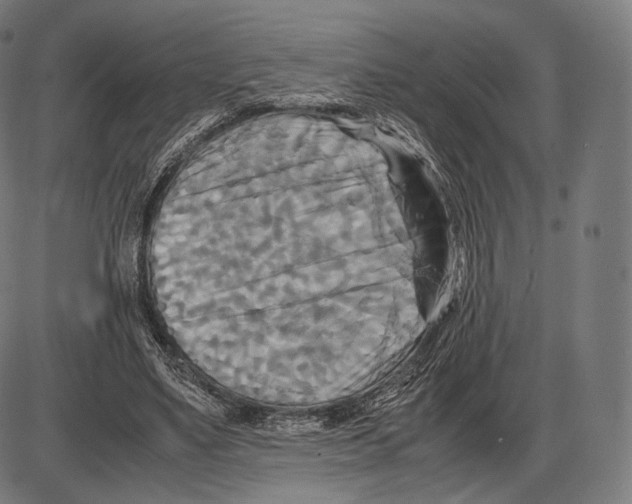 X0000084010491200703161717