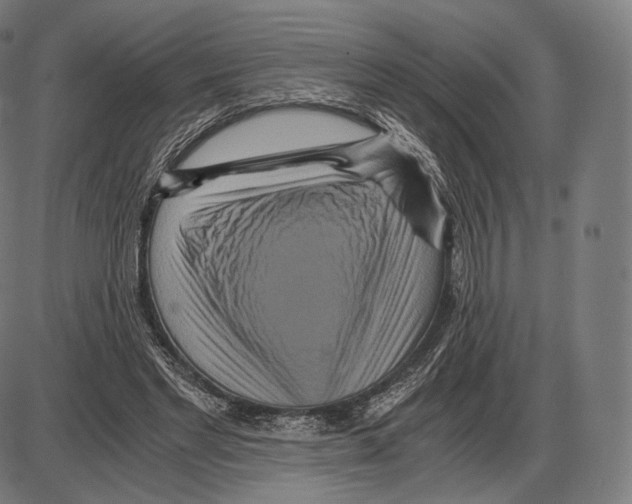 X0000084010493200703161717