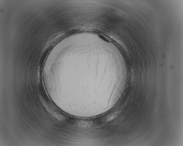 X0000084010494200703161717