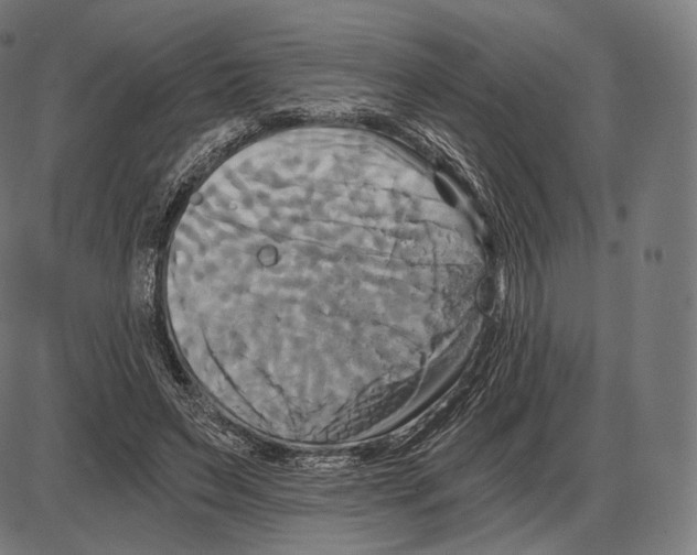 X0000084010495200703161717