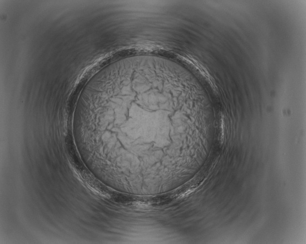 X0000084010496200703161717