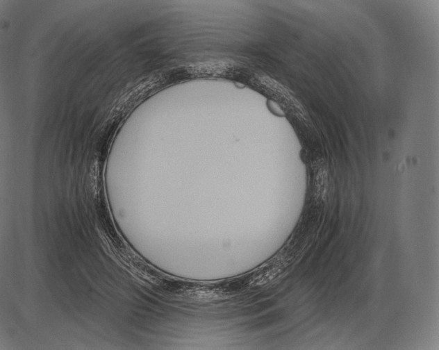 X0000084010498200703161717