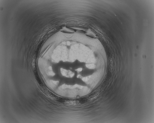 X0000084010499200703161717