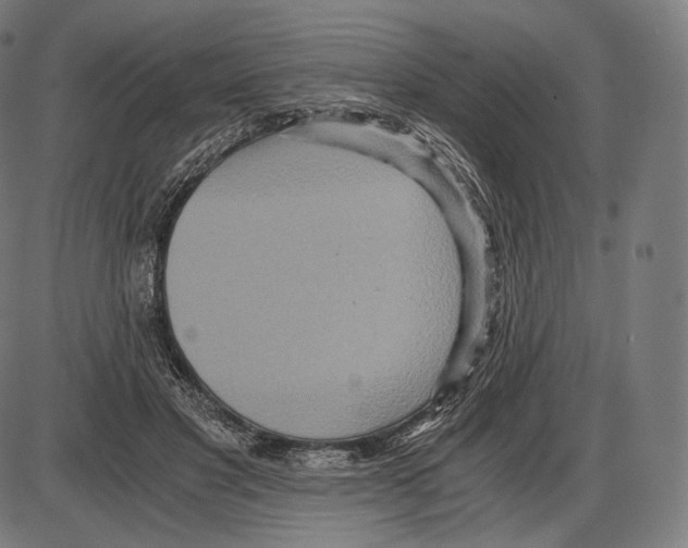 X0000084010501200703161717