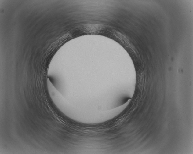 X0000084010505200703161717