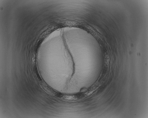 X0000084010507200703161717