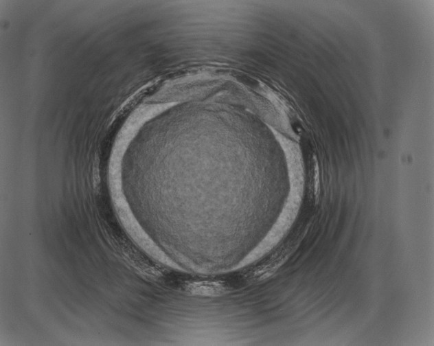 X0000084010508200703161717