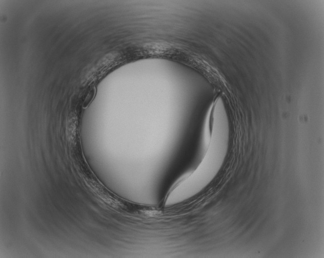 X0000084010509200703161717