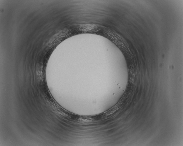 X0000084010510200703161717