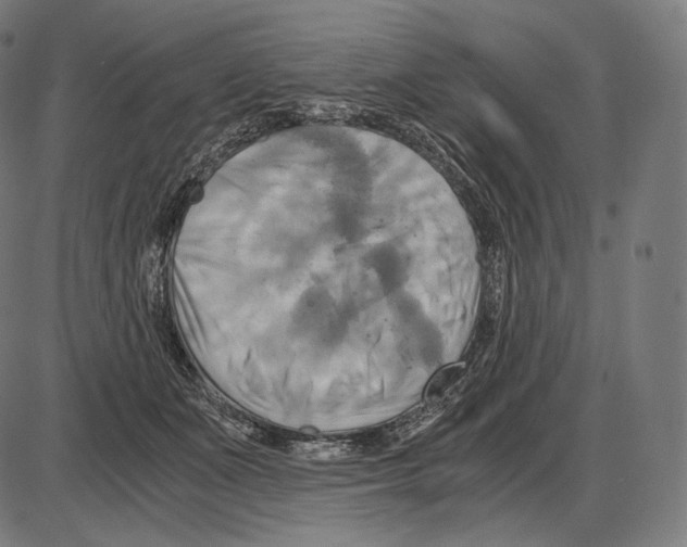 X0000084010511200703161717