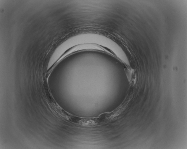 X0000084010512200703161717