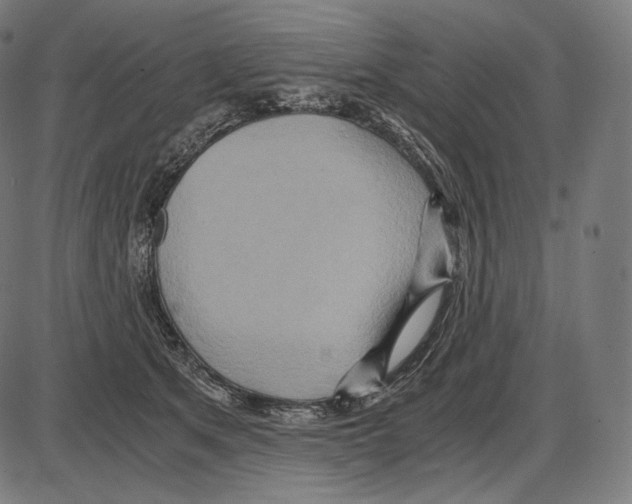 X0000084010513200703161717