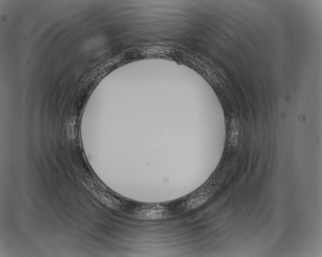 X0000084010514200703161717