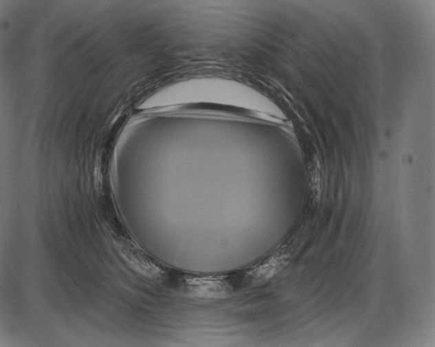 X0000084010516200703161717