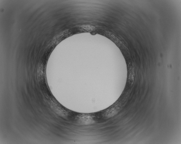 X0000084010518200703161717