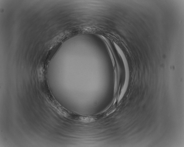 X0000084010520200703161717