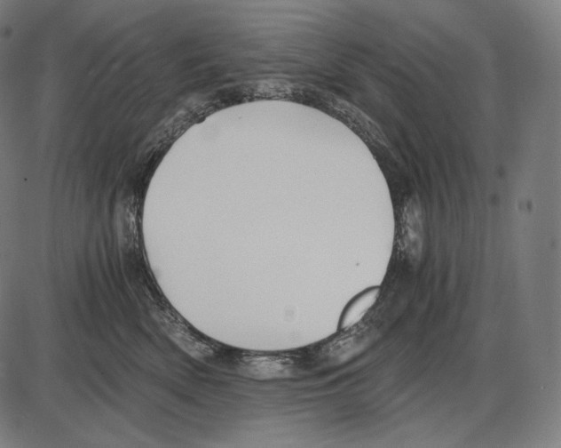 X0000084010522200703161717