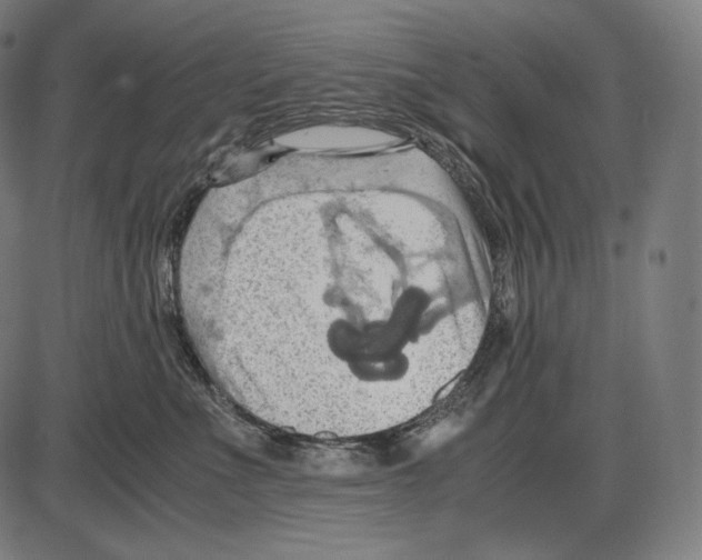 X0000084010523200703161717