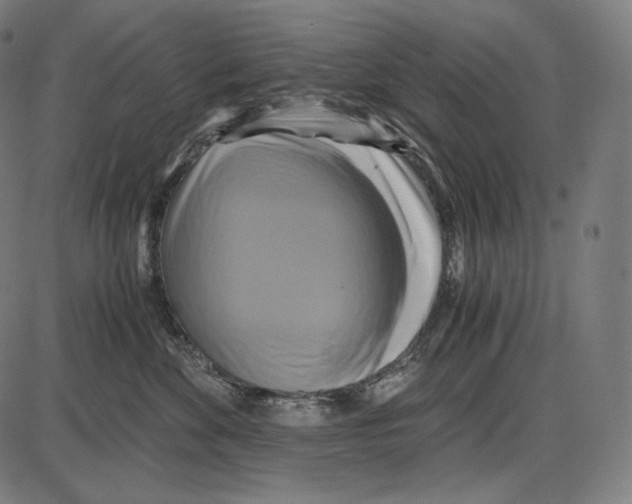 X0000084010524200703161717