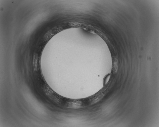 X0000084010525200703161717