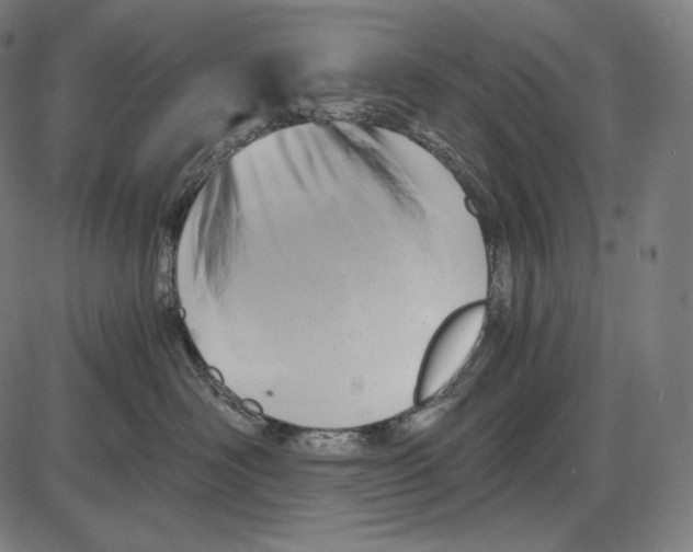 X0000084010526200703161717