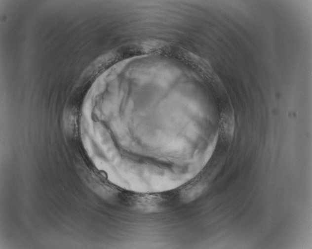 X0000084010527200703161717