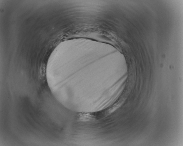 X0000084010528200703161717