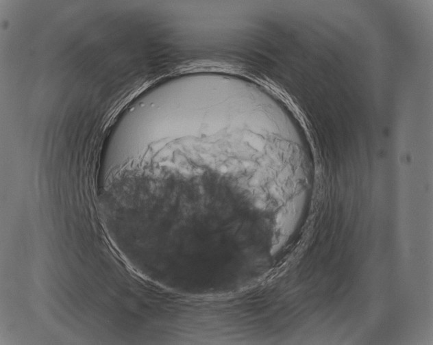 X0000084010529200703161716