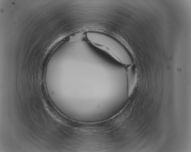 X0000084010530200703161716