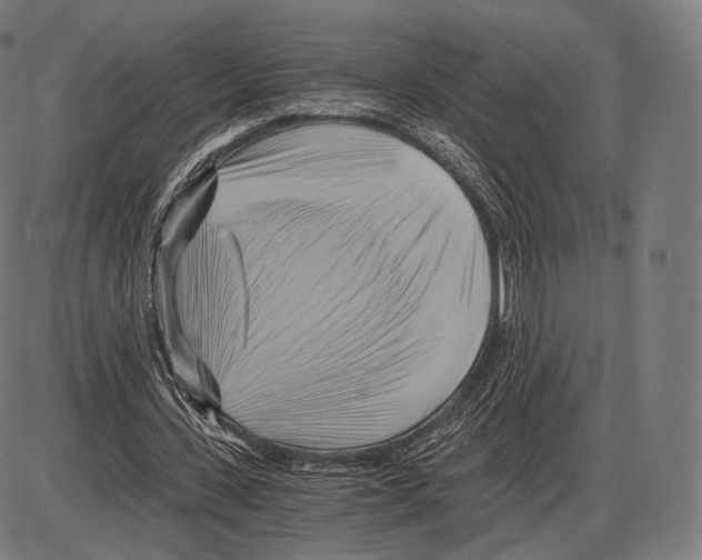 X0000084010531200703161716