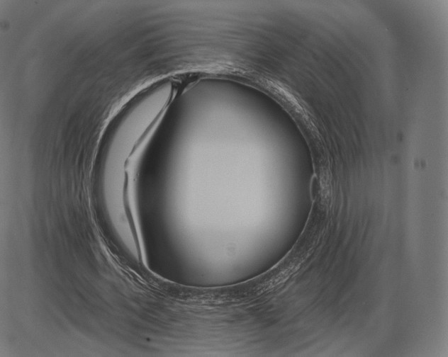 X0000084010532200703161716