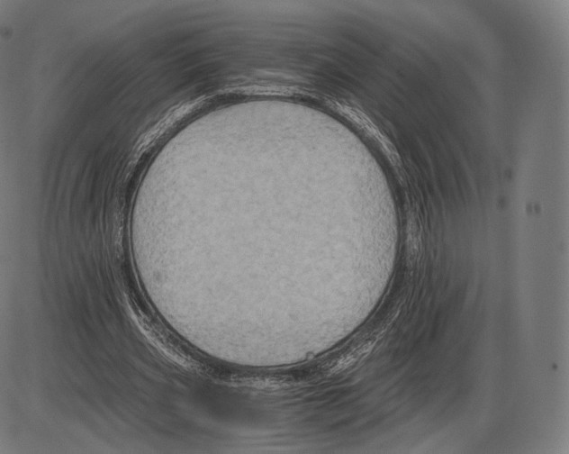 X0000084010533200703161716