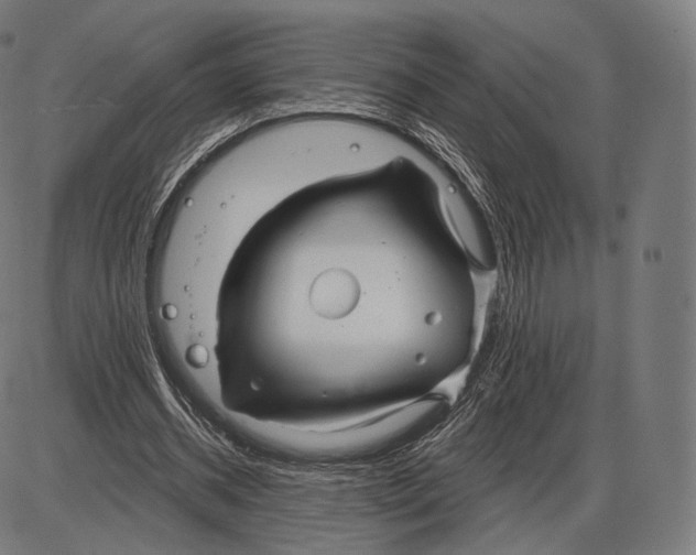 X0000084010534200703161716