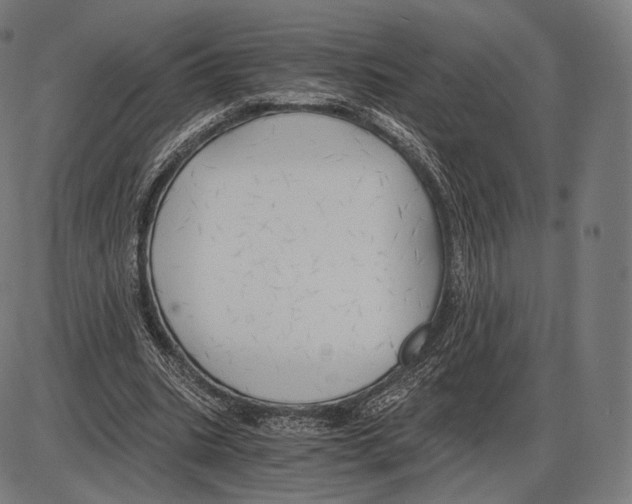 X0000084010535200703161716