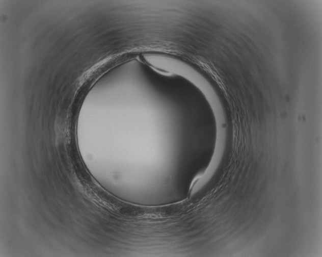 X0000084010536200703161716