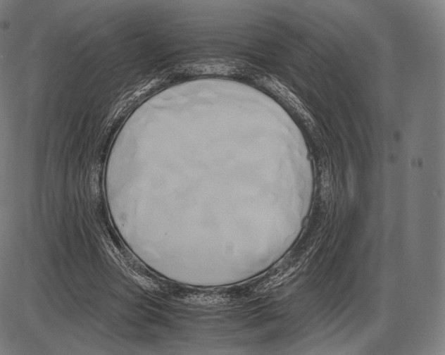 X0000084010537200703161716