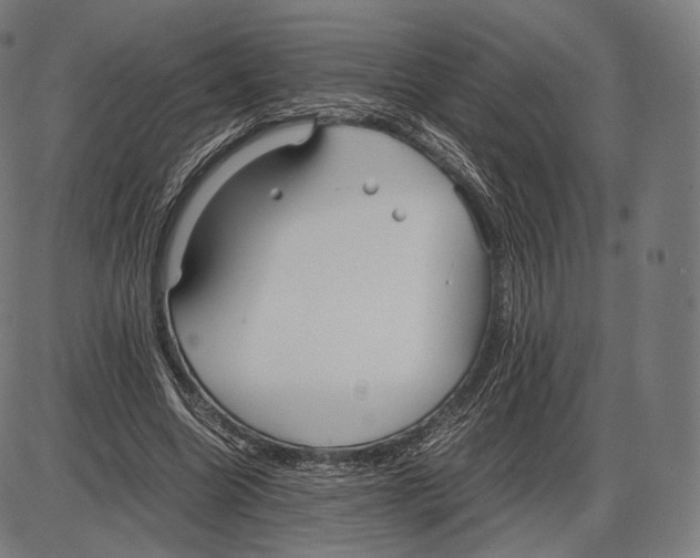 X0000084010538200703161716