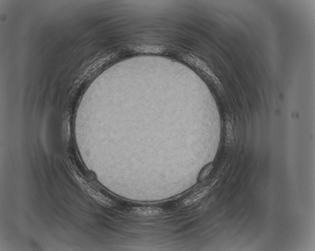 X0000084010541200703161716