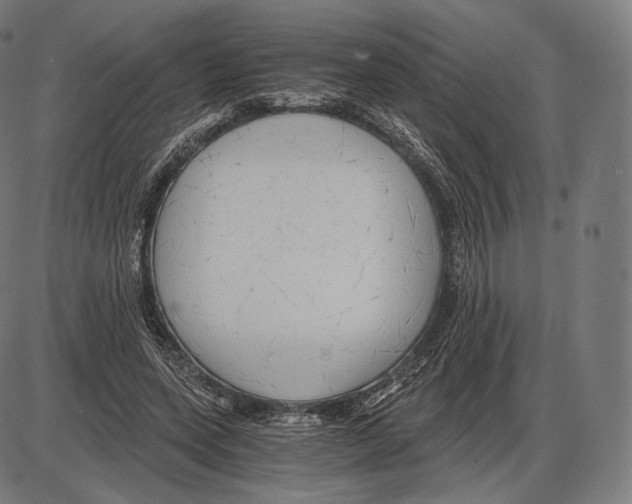 X0000084010543200703161716