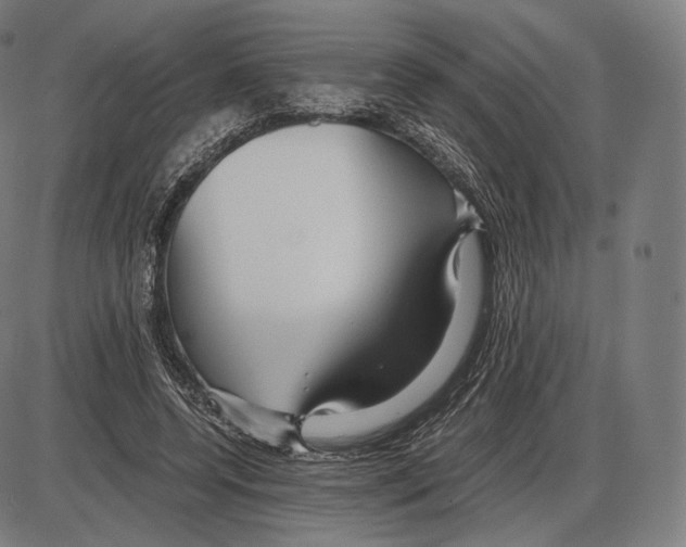 X0000084010544200703161716